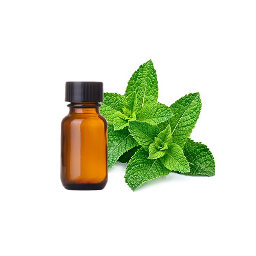 Cornmint Oil Manufacturers In India