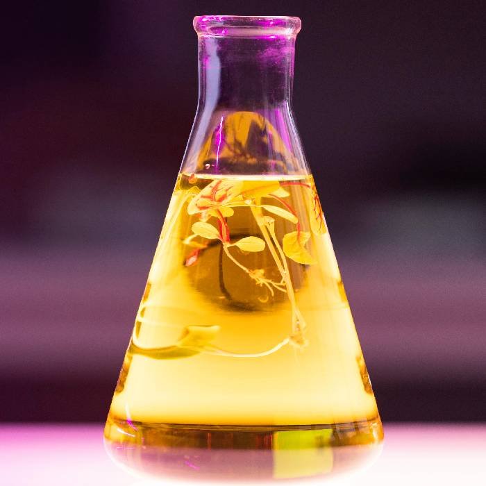 Aromatic Chemical Manufacturers In India