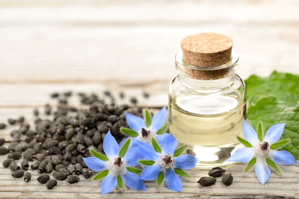 Borage Oil In UAE