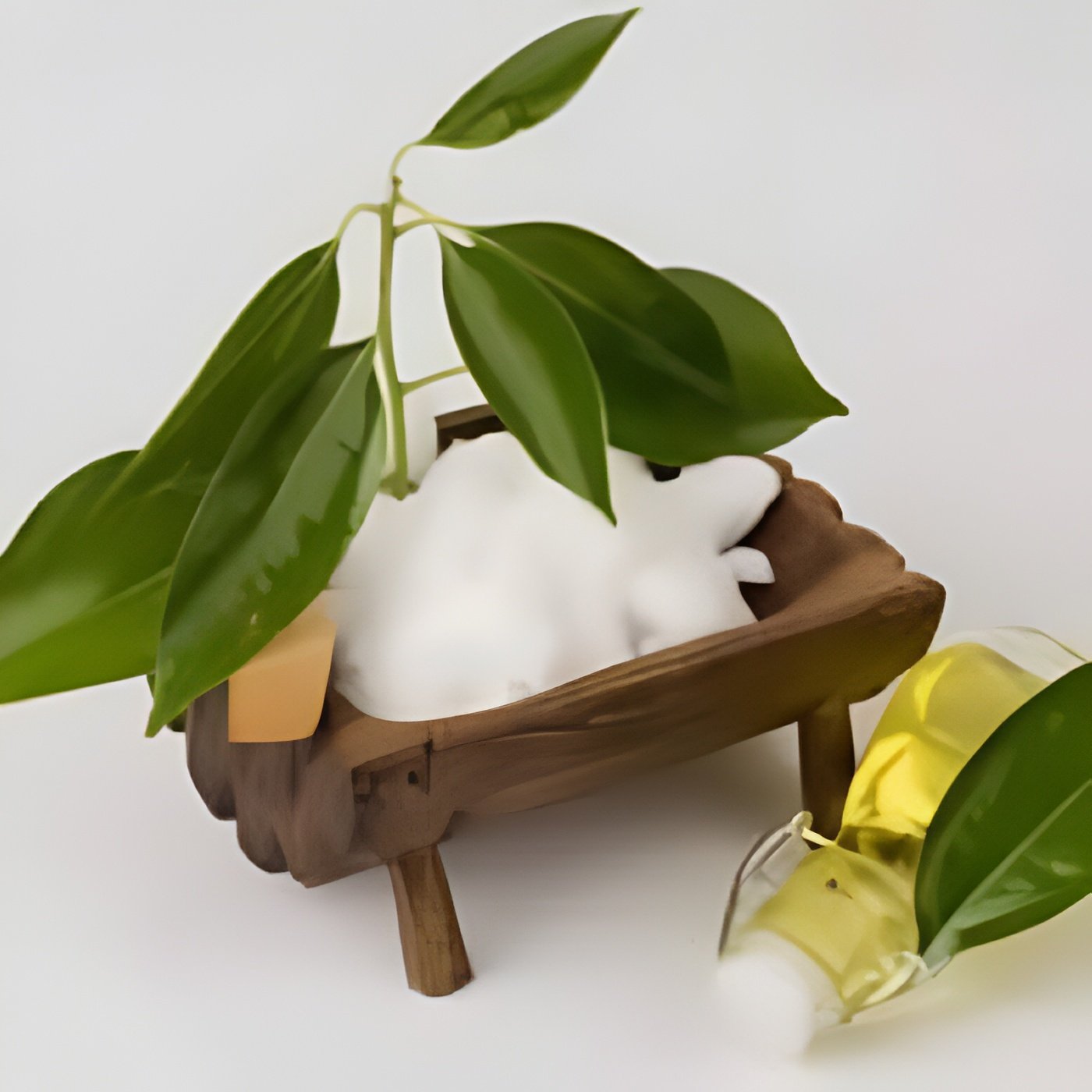 Camphor Oil Manufacturers In India
