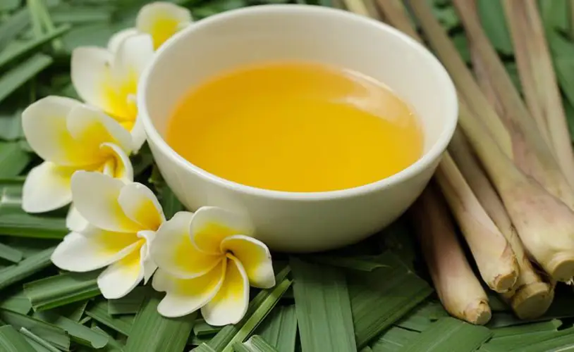 Citronella Oil Manufacturers In India
