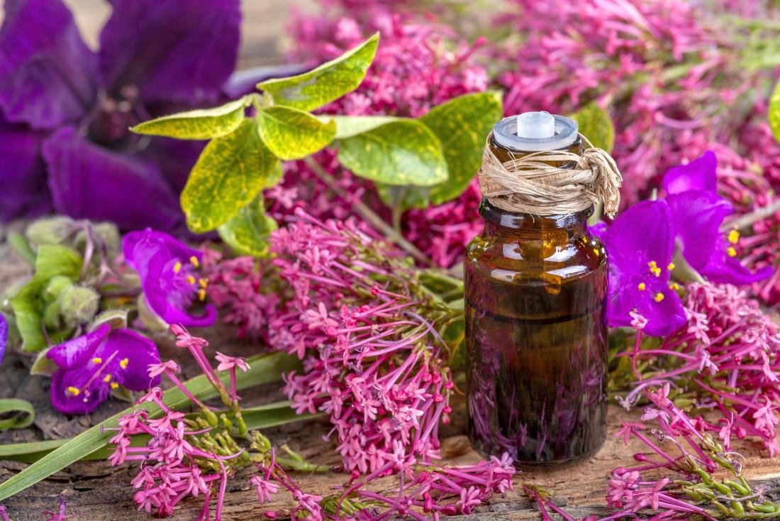 Clary Sage Oil Manufacturers In India