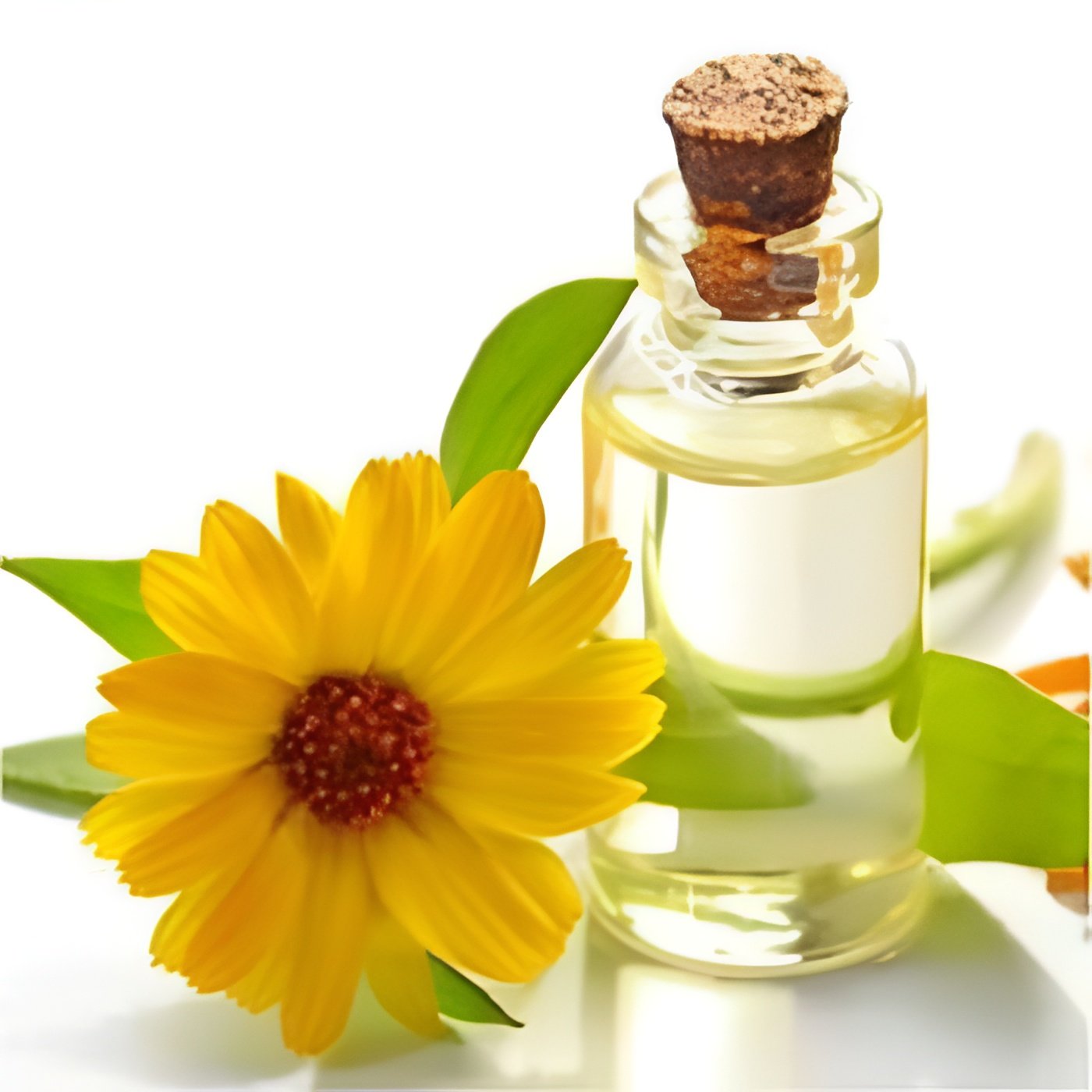 Dipentene Oil Manufacturers In India