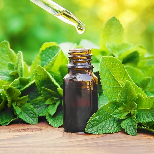 Peppermint Oil Technical In UAE