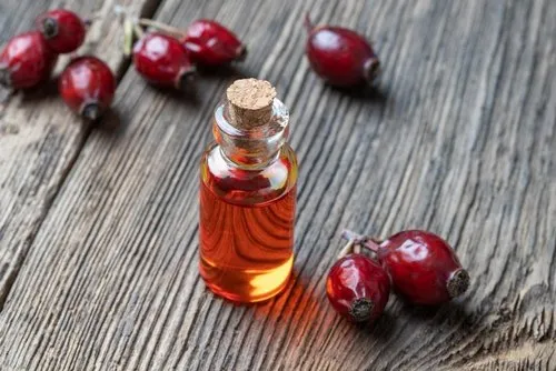 Rosehip Oil Manufacturers In India